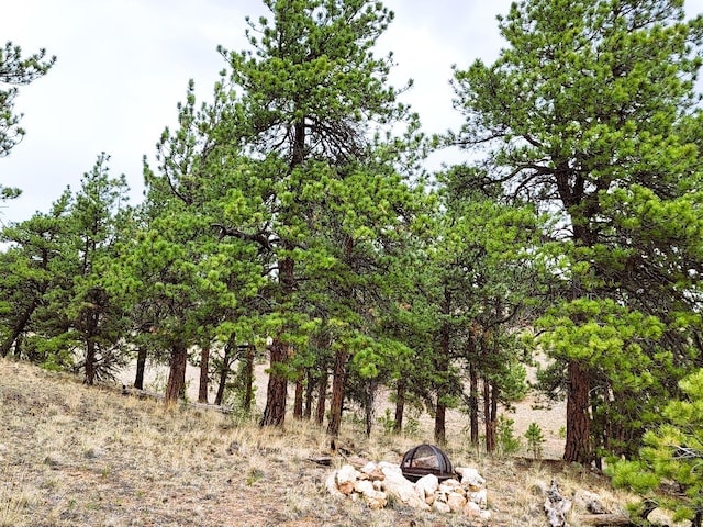 1051 Arapahoe Trl, Hartsel, CO 80449 - photo 35