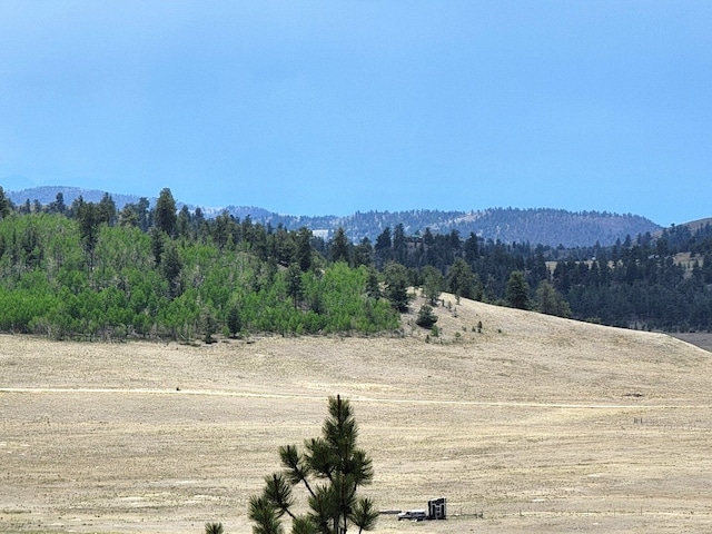 1051 Arapahoe Trl, Hartsel, CO 80449 - photo 8