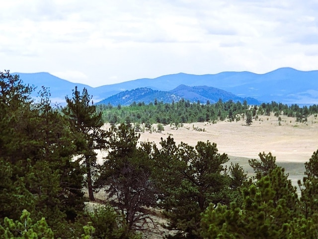 1051 Arapahoe Trl, Hartsel, CO 80449 - photo 11