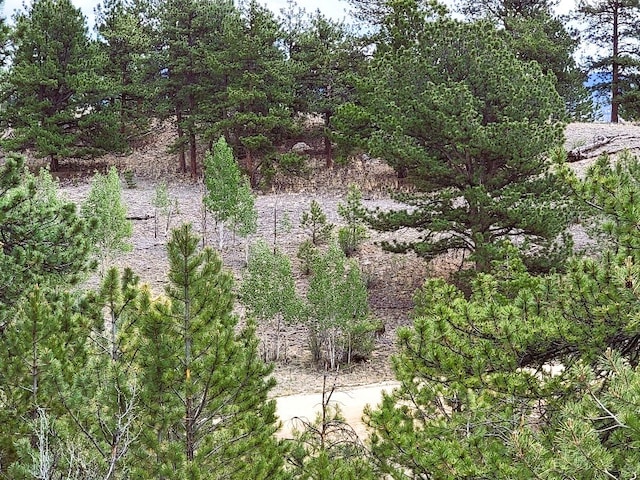 1051 Arapahoe Trl, Hartsel, CO 80449 - photo 33