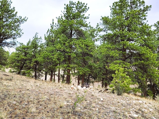 1051 Arapahoe Trl, Hartsel, CO 80449 - photo 32