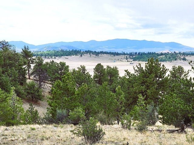 1051 Arapahoe Trl, Hartsel, CO 80449 - photo 36