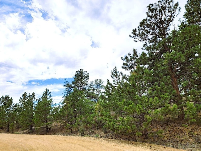 1051 Arapahoe Trl, Hartsel, CO 80449 - photo 12