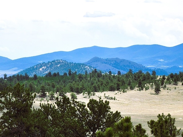 1051 Arapahoe Trl, Hartsel, CO 80449 - photo 10