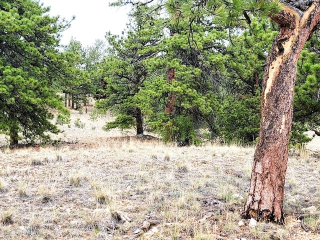 1051 Arapahoe Trl, Hartsel, CO 80449 - photo 41