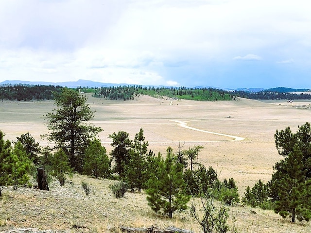 1051 Arapahoe Trl, Hartsel, CO 80449 - photo 47