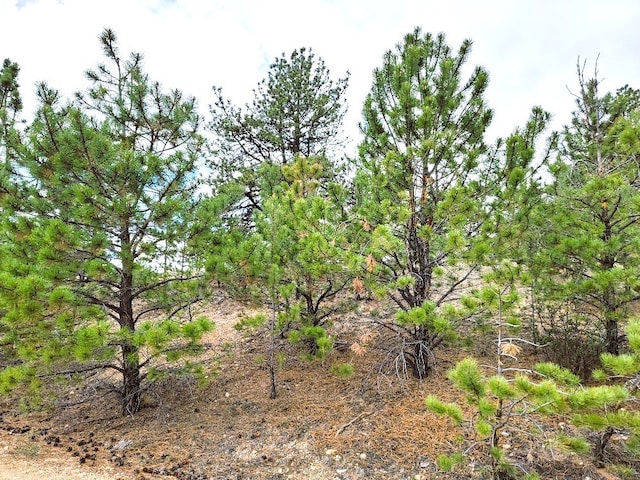 1051 Arapahoe Trl, Hartsel, CO 80449 - photo 13