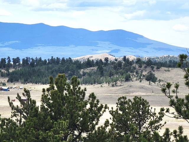 1051 Arapahoe Trl, Hartsel, CO 80449 - photo 9