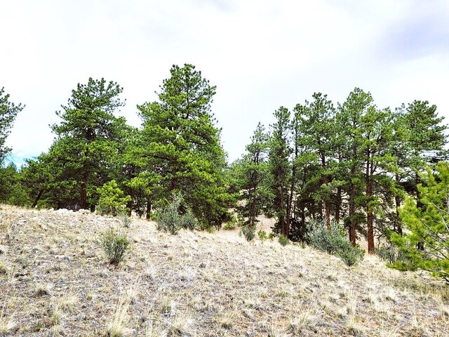 1051 Arapahoe Trl, Hartsel, CO 80449 - photo 15
