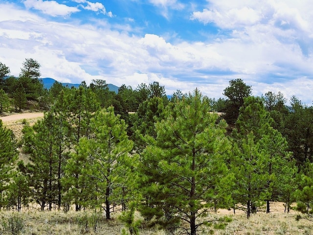 1051 Arapahoe Trl, Hartsel, CO 80449 - photo 28