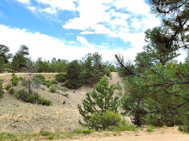 1051 Arapahoe Trl, Hartsel, CO 80449 - photo 18