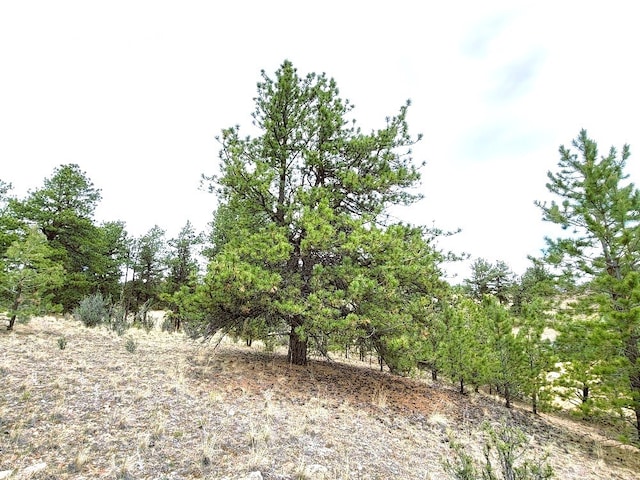 1051 Arapahoe Trl, Hartsel, CO 80449 - photo 21