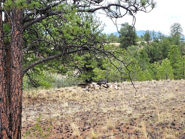 1051 Arapahoe Trl, Hartsel, CO 80449 - photo 43