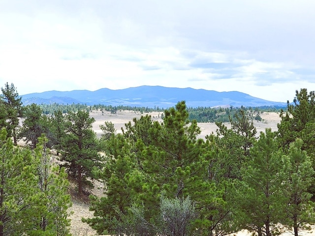 1051 Arapahoe Trl, Hartsel, CO 80449 - photo 22