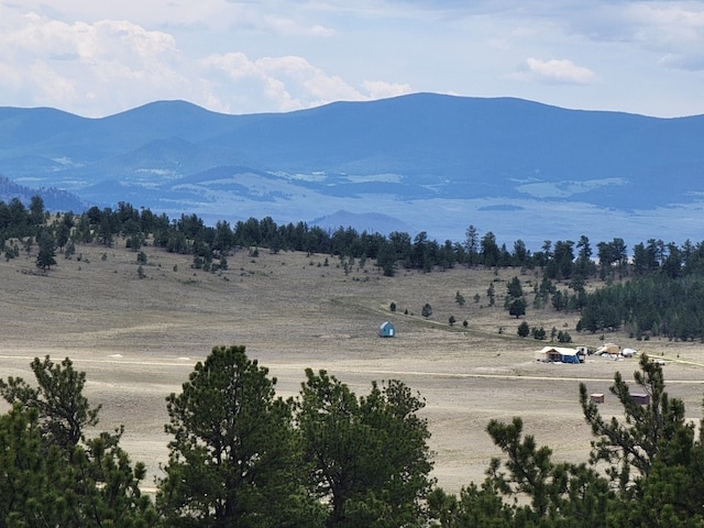 1051 Arapahoe Trl, Hartsel, CO 80449 - photo 6