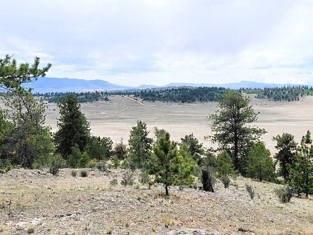 1051 Arapahoe Trl, Hartsel, CO 80449 - photo 48