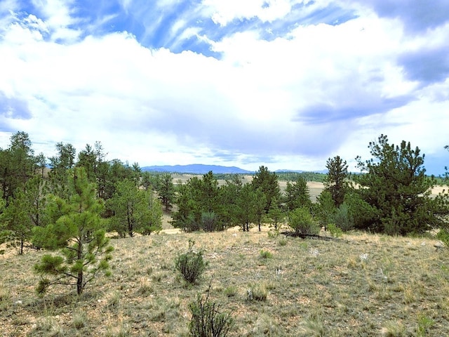 1051 Arapahoe Trl, Hartsel, CO 80449 - photo 23