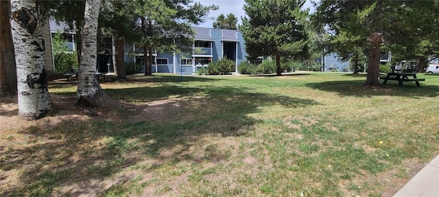 1335 Sparta Plz Unit 7, Steamboat Springs, CO 80487 - view of green lawn