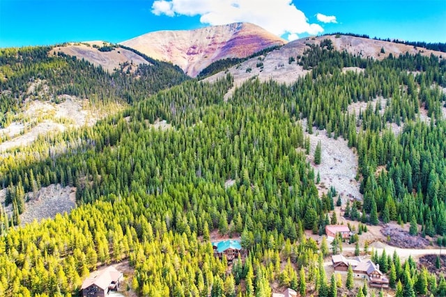 181 Red Fox Ct, Breckenridge, CO 80424 - view of mountain feature featuring a forest view