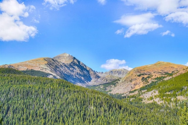 181 Red Fox Ct, Breckenridge, CO 80424 - mountain view featuring a view of trees