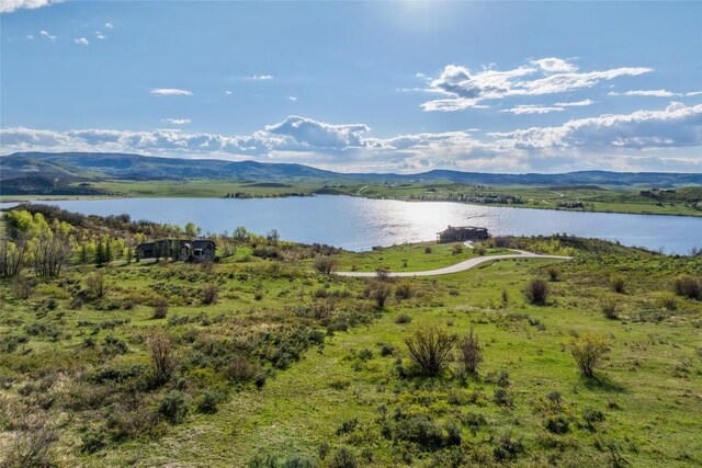 30105 Harrison Trl, Steamboat Springs, CO 80487 - photo 4