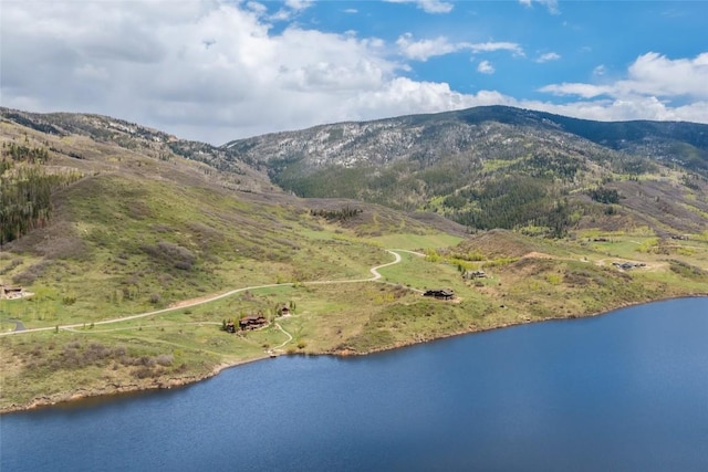 30105 Harrison Trl, Steamboat Springs, CO 80487 - photo 10