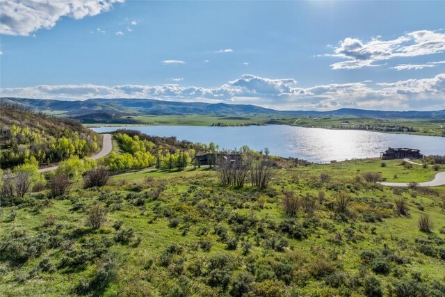 30105 Harrison Trl, Steamboat Springs, CO 80487 - photo 5