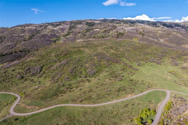 30105 Harrison Trl, Steamboat Springs, CO 80487 - photo 12