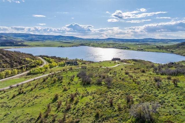 30105 Harrison Trl, Steamboat Springs, CO 80487 - photo 1
