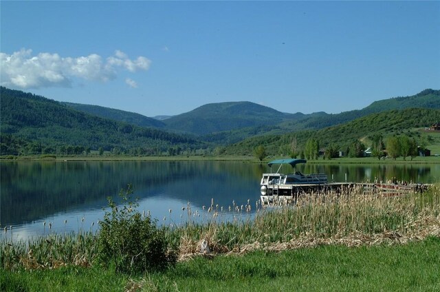 30105 Harrison Trl, Steamboat Springs, CO 80487 - photo 23