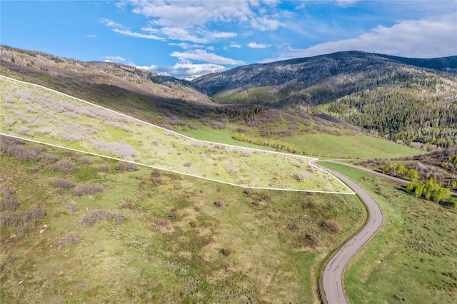 30105 Harrison Trl, Steamboat Springs, CO 80487 - photo 15