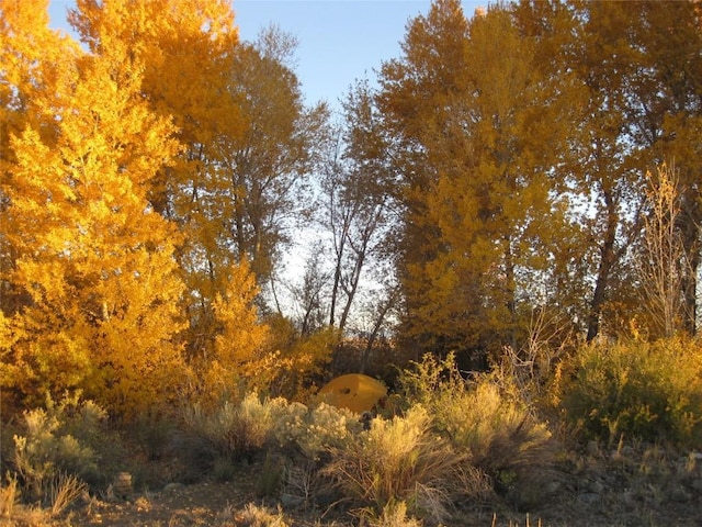 63001 Cc Countyroad, Countyroad, CO 81143