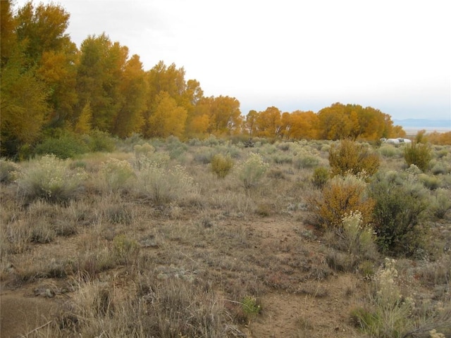 63001 Cc Countyroad, Countyroad, CO 81143
