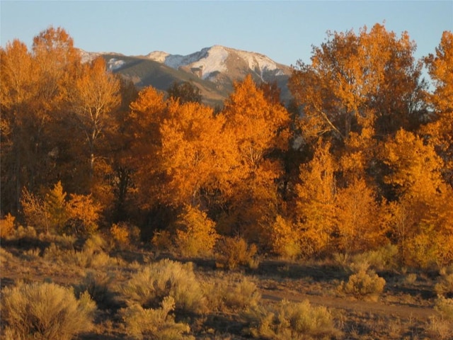 63001 Cc Countyroad, Countyroad, CO 81143