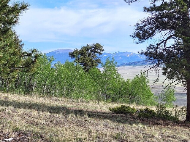 964 Redhill Rd, Fairplay, CO 80440 - photo 30