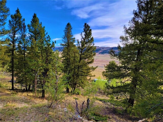964 Redhill Rd, Fairplay, CO 80440 - photo 19