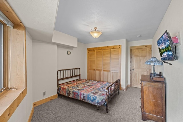 486 Turk Pony Way, Como, CO 80456 - photo 30