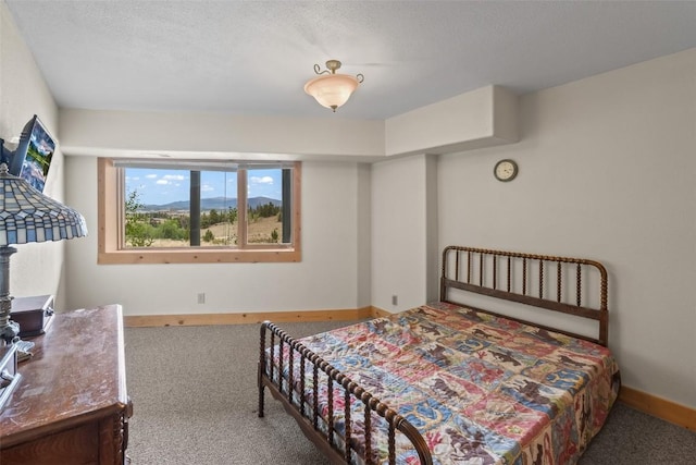486 Turk Pony Way, Como, CO 80456 - photo 29