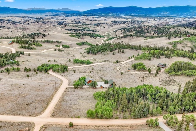 486 Turk Pony Way, Como, CO 80456 - photo 42