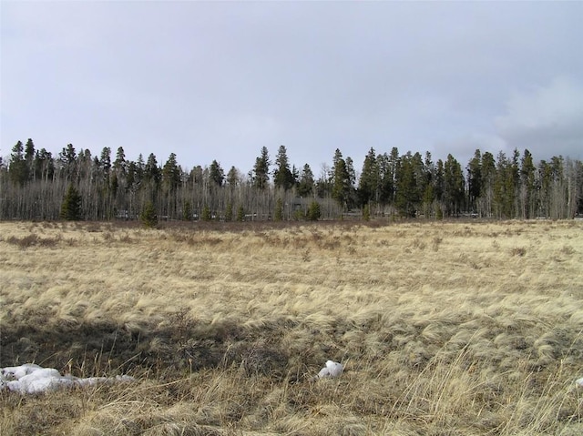 22 Teton Trl, Como, CO 80432 - photo 2