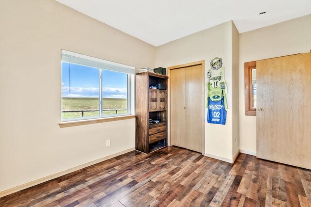 42450 Mcguire Ln, Hayden, CO 81639 - bedroom featuring baseboards, wood finished floors, and a closet