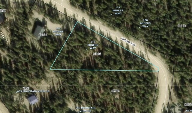 117 Miners Way, Fairplay, CO 80440