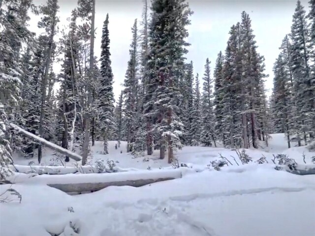 117 Miners Way, Fairplay, CO 80440