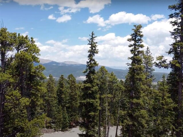 117 Miners Way, Fairplay, CO 80440