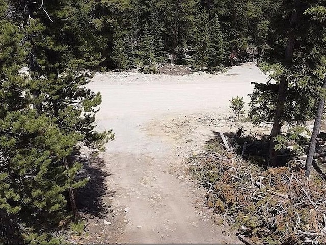 117 Miners Way, Fairplay, CO 80440