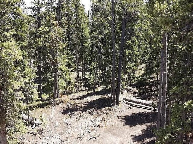 117 Miners Way, Fairplay, CO 80440
