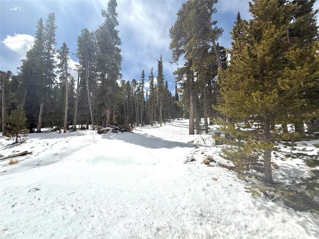 117 Miners Way, Fairplay, CO 80440
