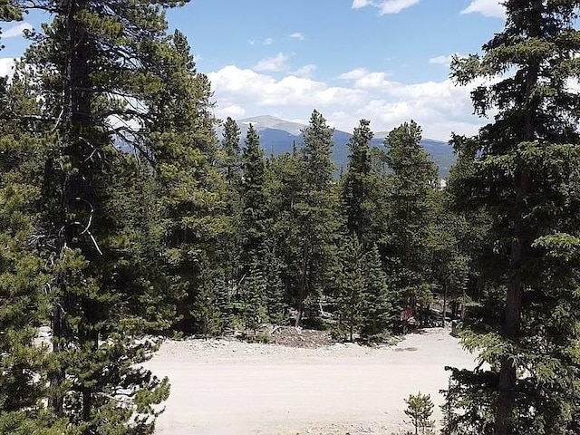 117 Miners Way, Fairplay, CO 80440
