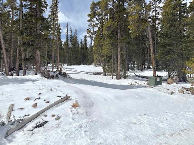 117 Miners Way, Fairplay, CO 80440