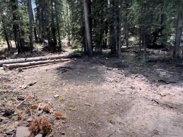 117 Miners Way, Fairplay, CO 80440